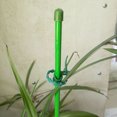 thumbnail image 2 of 50Pcs Adjustable Garden Cable Ties Reusable Plant Support Shrubs Fastener Tree Locking Cable Ties Zip Garden Ties, 2 of 6