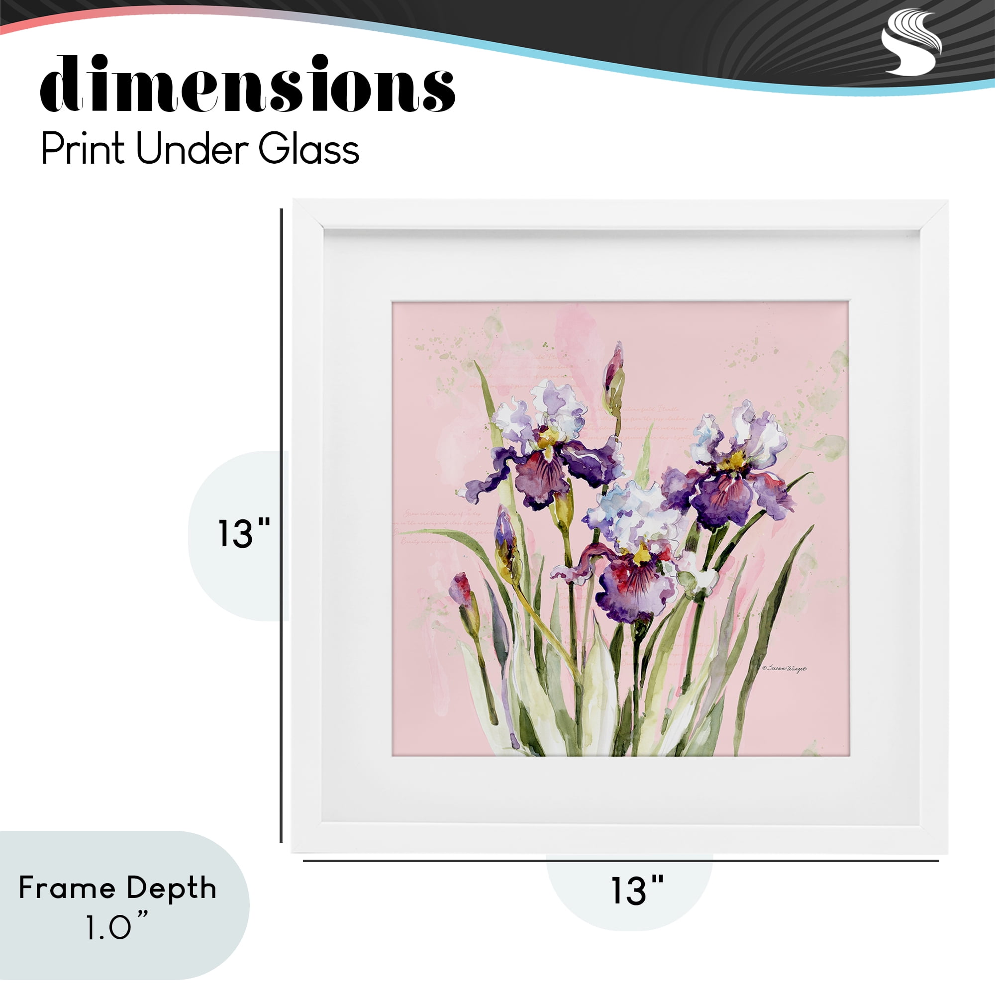 Stupell Industries Purple Irises on Pink White Framed Print Under Glass, design by Susan Winget