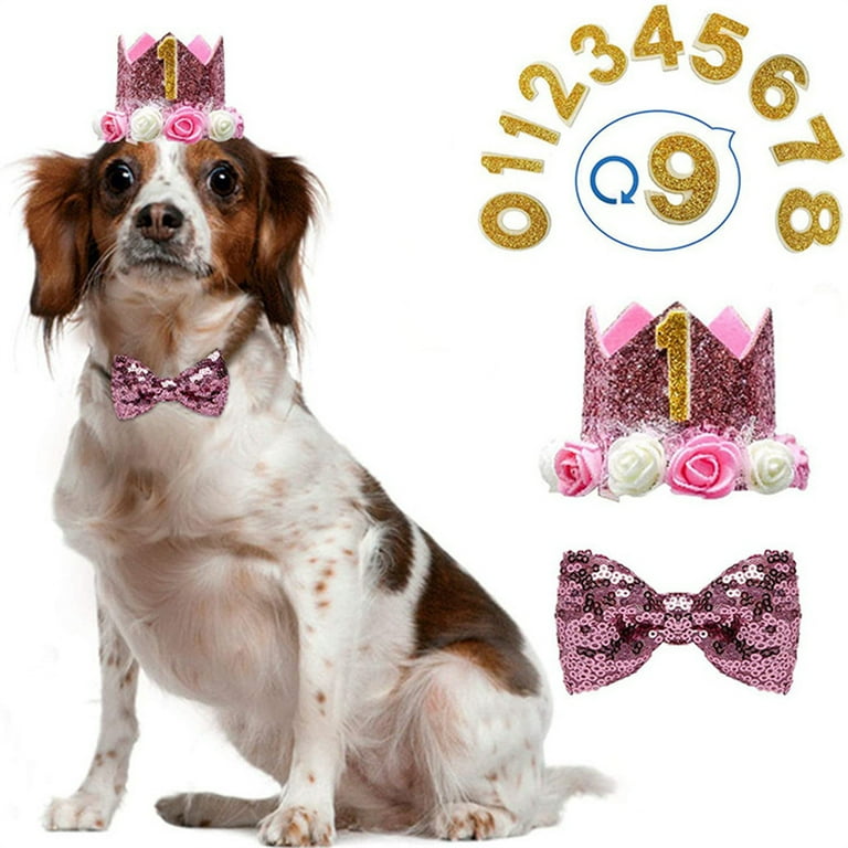 Dog birthday cheap crown