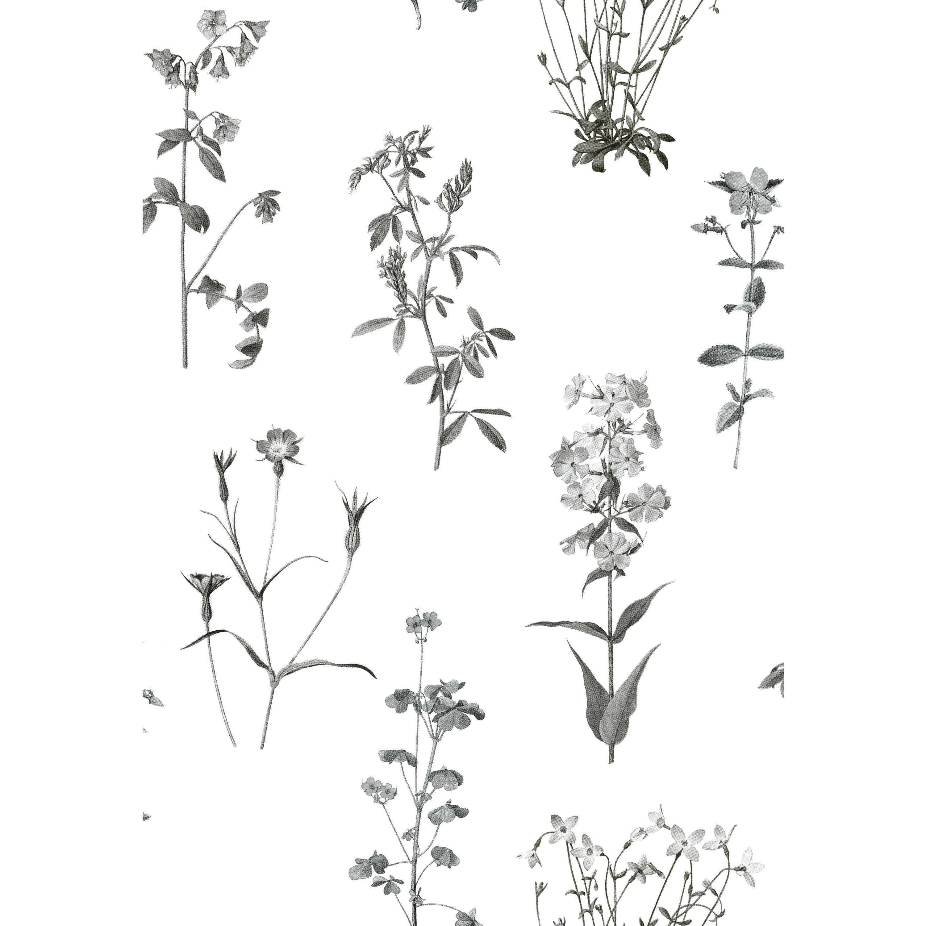 RoomMates Botanical Print Peel and Stick Wallpaper