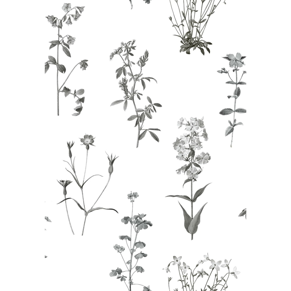RoomMates Botanical Print Peel and Stick Wallpaper - Walmart.com