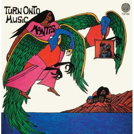 Turn Onto Music (Vinyl) (Best Way To Burn Music Onto A Cd)