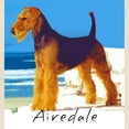 thumbnail image 3 of CafePress - Airedale Terrier Tote Bag - Unisex Canvas Tote Bag, Beige, 1-Piece, 3 of 8