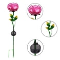 thumbnail image 3 of Better Homes and Gardens Pink Peony Solar Garden Stake Set of 4, 3 of 6