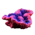 thumbnail image 2 of Adorno de Decoración de Acuario Hugo Mini Coral de Resina Artificial 12x5x12cm, 2 of 10