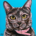 thumbnail image 2 of Vitaletti, Carolee 15x15 White Modern Wood Framed Museum Art Print Titled - Pinky Cat, 2 of 4