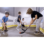 Warrior 27 Premium Mini ABS Hockey Player Stick - Red and Black - Designed for Mini or Knee Hockey