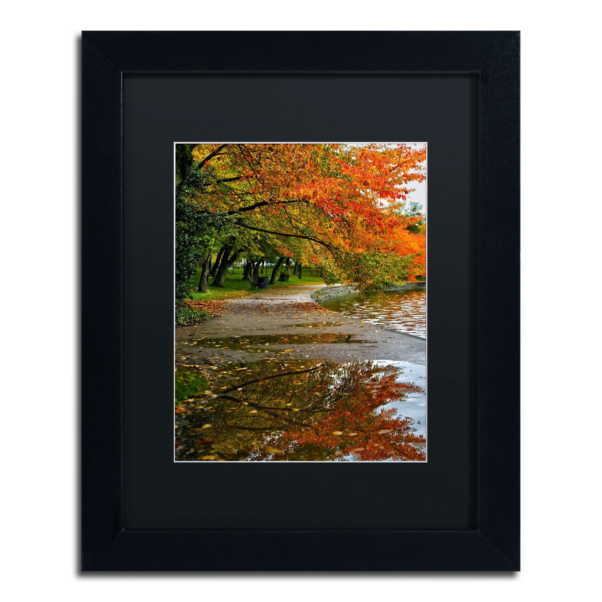 Trademark Fine Art "Tidal Basin Autumn 1" Canvas Art by CATeyes, Black Matte, Black Frame