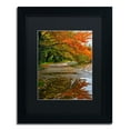 thumbnail image 2 of Trademark Fine Art "Tidal Basin Autumn 1" Canvas Art by CATeyes, Black Matte, Black Frame, 2 of 5