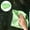 Green, variant on Product Classification Cleaning Brush 2 Microfiber Glass Cleaning Cloths Kitchen Absorbent Wipes No Streak Glass Cloths 6 Piece Home Cleaning Set 6PCS