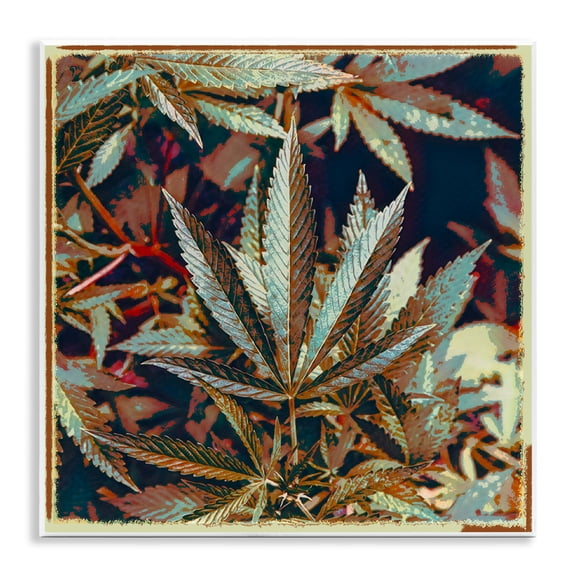 Stupell Industries Heavy Metal Cannabis Plants & Flowers Painting Unframed Art Print Wall Art, 12 x 12