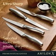 thumbnail image 4 of Anolon Japanese Stainless Steel Steak Knife Set 4 Pieces 1 ea, 4 of 7