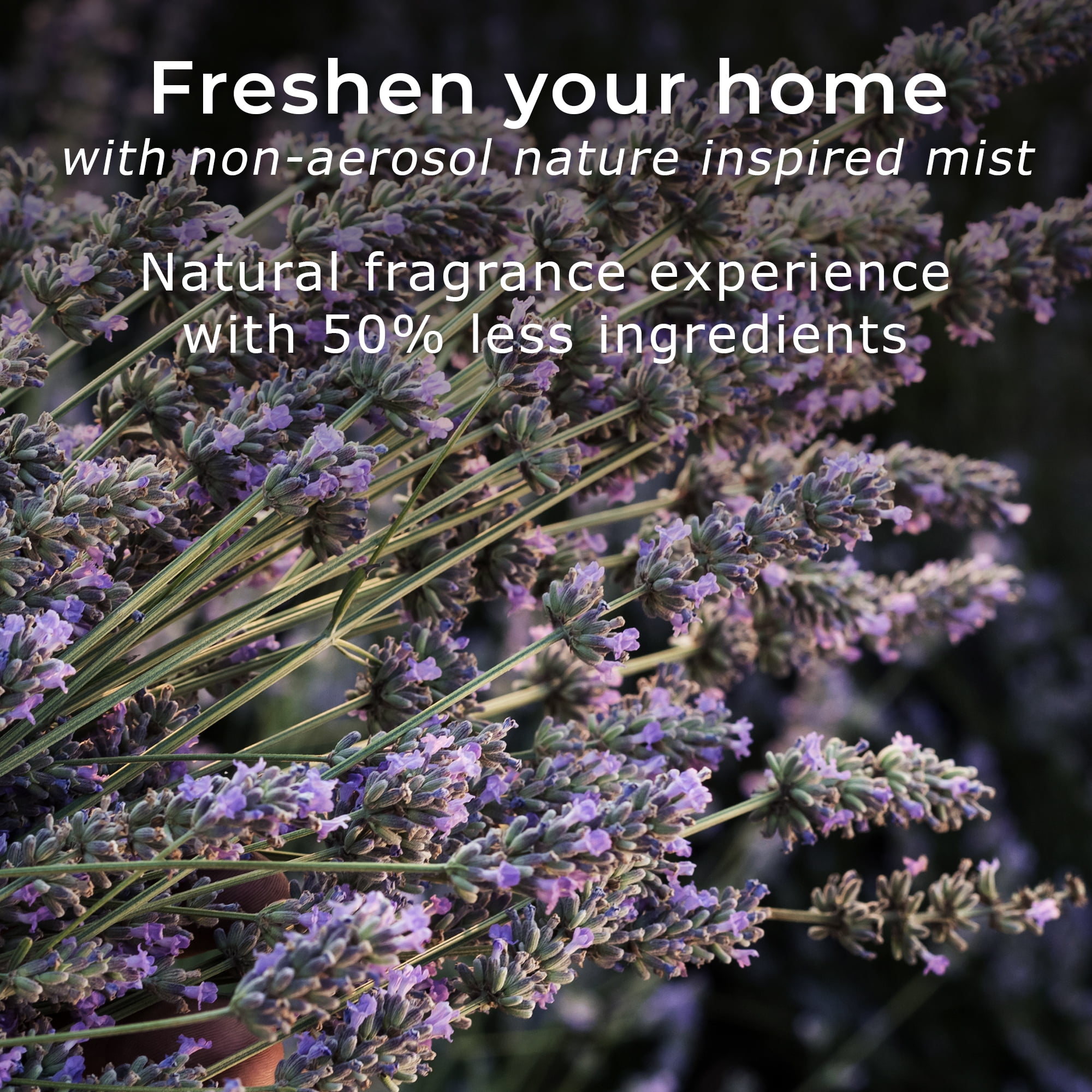 Botanica by Air Wick Scented Room Spray, 8oz, French Lavender and Honey Blossom, Natural Ingredients, Essential Oils, Air Freshener, Non-aerosol