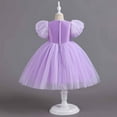 thumbnail image 4 of Odeerbi Kids Dress Toddler Girls Princess Dresses Tulle Dress Middle-aged Children's Sleeveless Embroidery Mesh Gauze Dress Purple, 4 of 9
