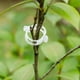 thumbnail image 3 of 200 piezas de clips de soporte para plantas, soportes de soporte para jardín, clips de soporte para el crecimiento vertical de plantas vegetales, 3 of 6