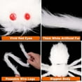 thumbnail image 4 of Halloween Giant White Spider Decorations, Realistic Large Scary Spider, Fake Hairy Spider for Halloween Indoor Outdoor Yard Home Party Decorations, 4 of 9