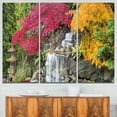 thumbnail image 1 of Japanese Maple Trees, 1 of 1