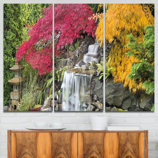 Japanese Maple Trees
