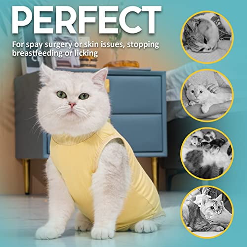 Alternative to cone after cat spay deals
