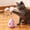 Pink, variant on Cat Treat Dispenser Toy with Feather Interactive Prevent Tipping Cat Slow Feeder Puzzle Ball (Pink)