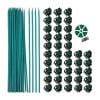 

40pcs Plant Support Bamboo Poles Orchid Clips Plastic Garden Plant Clips with Plant Support Stakes Vines Stalks Grow Upright