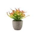 thumbnail image 2 of Advancent Árbol artificial del dinero de la durabilidad duradera verde en aspecto realista respetuoso del medio ambiente del pote Decoración Rosa roja, 2 of 6