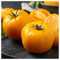thumbnail image 1 of Everwilde Farms - 1/4 lb Sunray Heirloom Tomato Seeds - Gold Vault Bulk Seed Packet, 1 of 3