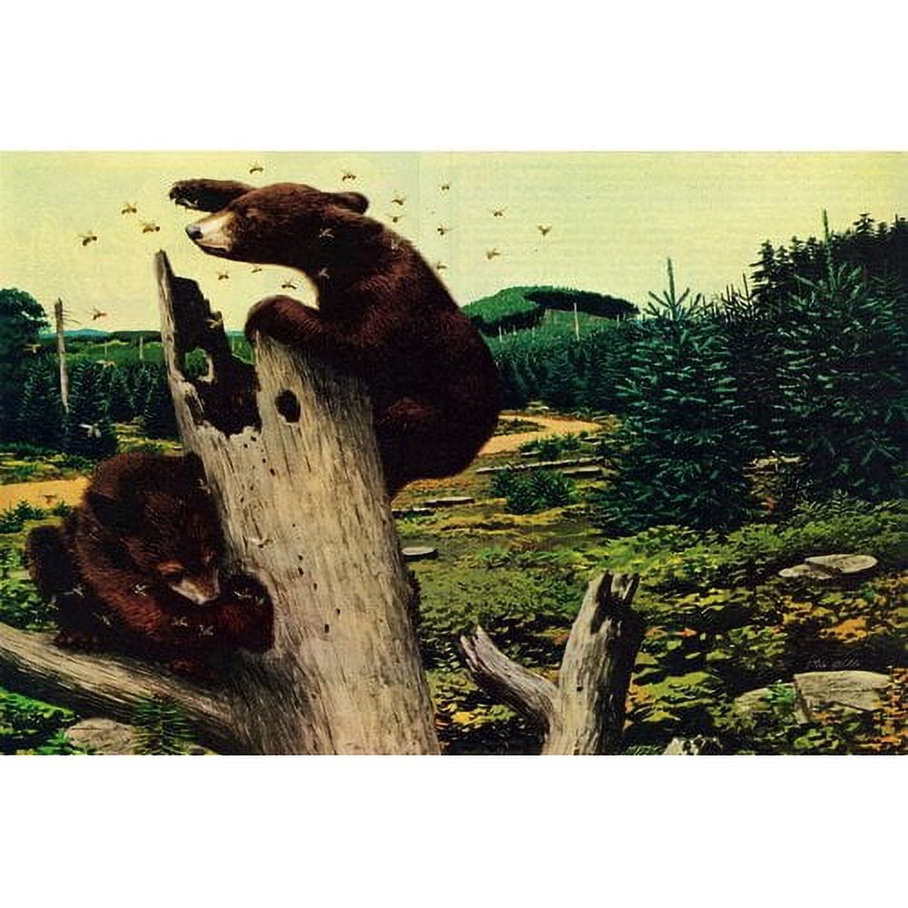 "Honey Bears" Painting Print on Wrapped Canvas