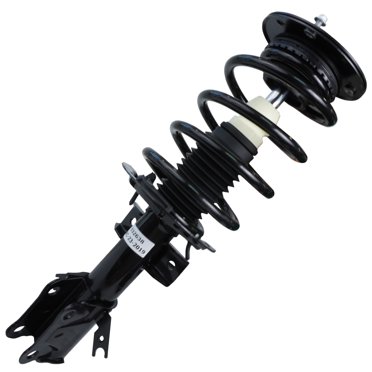 Rear Struts w/Coil Spring (Pair) - 2016 Lexus ES300h Rear Struts w/Coil Spring (Pair) - 2016 Lexus ES300h