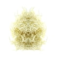 thumbnail image 1 of 100 G/paquete de de Papel Triturado de Pascua, Artesanía de Hierba, Tejido Triturado, Relleno de , Trituradores de Papel para Rellenar crema perfecl Papel de rafia triturado, 1 of 8