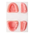 thumbnail image 1 of Kit De Sutura , Kit De Entrenamiento De Sutura Oral, Pinzas Que Mejoran Las Habilidades, Modelo De Silicona Para Estudiantes, 1 of 7