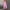 01 Pink, variant on Women Summer Rompers and Jumpsuits Casual Solid Color Romper Wide Leg Romper Shorts Jumpsuit with Pockets Cheap Items