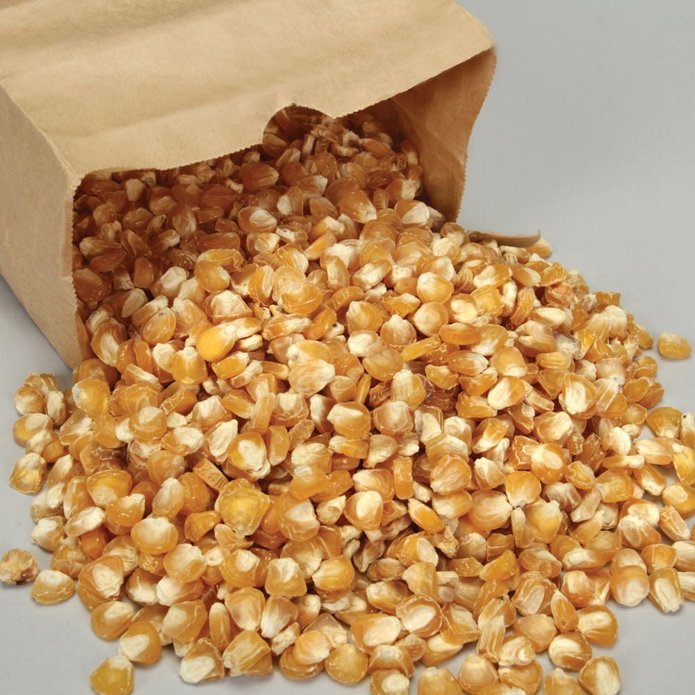 Corn, Sweet, Viable Seed, 1 lb