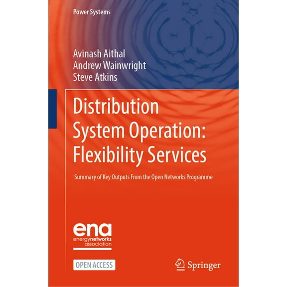 Power Systems Distribution System Operation: Flexibility Services: Summary of Key Outputs from the Open Networks Programme, (Hardcover)
