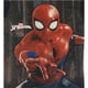 thumbnail image 3 of Conjunto para Niño Spiderman Playera y Short Negro Talla 10, 3 of 3