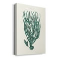 thumbnail image 2 of Antique Coastal Coral VIII Premium Gallery Wrapped Canvas - Ready to Hang, 2 of 9
