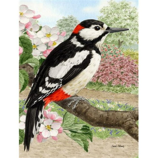 Carolines Treasures ASA2018CHF Woodpecker Flag Canvas House Size