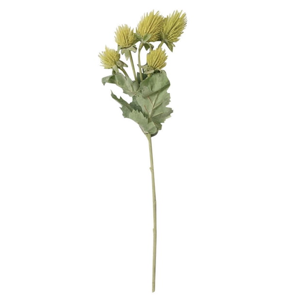 Cardo artificial Flor de simulación Ramo de flores Oficina en casa Decoración floral Fiesta de boda Cardo falso, Verde Methold HA7103-02