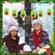 thumbnail image 4 of Decoraciones navideñas, adornos navideños, regalos navideños, corazón navideño, bola verde suave, decoración para árbol de Navidad, bola para chimenea de interior, decoración colgante, juego de bolas, 4 of 5