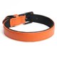 thumbnail image 1 of Collar para perro de cuero, collar para mascota acolchado ajustable con cierre de aleación MFZFUKR CPB-US-YY747-5, 1 of 5
