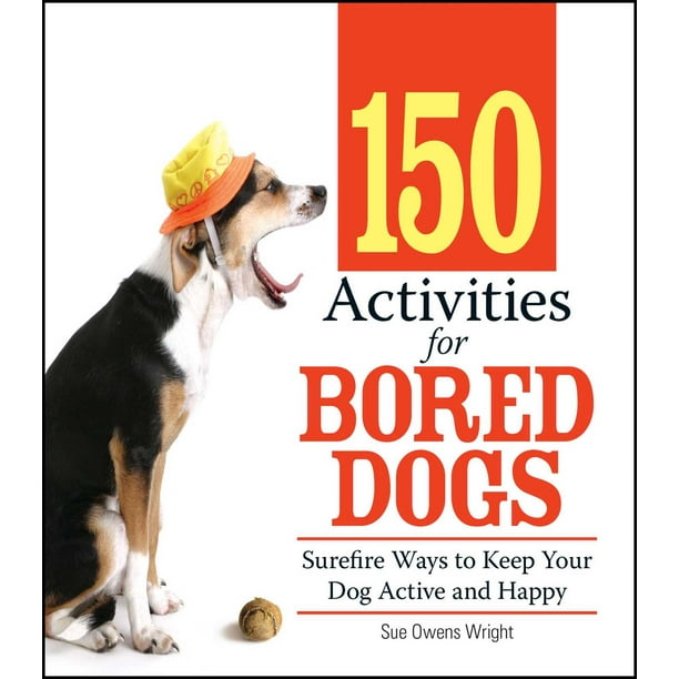 150 Activities for Bored Dogs Surefire Ways to Keep Your Dog Active