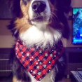 thumbnail image 2 of Bandana Para Perros Y Gatos, Pañuelo Para Perros, Lavable, Reversible, Ajustable, Triángulo, Bufanda Para Perros A Cuadros, Bandana A Cuadros Para Pequeños, Medianos kaili Sencillez, 2 of 2