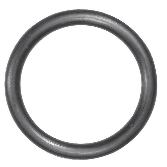 Danco 1 in. Dia. Rubber O-Ring 1 pk