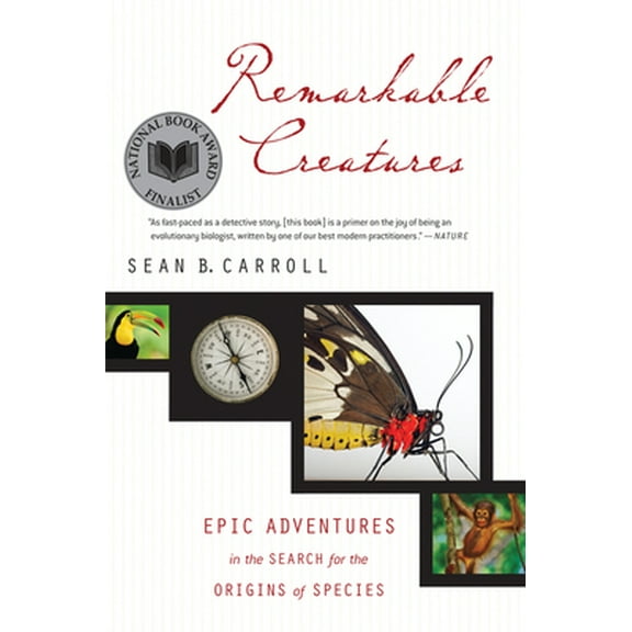 Pre-Owned Remarkable Creatures (Paperback) 0547247788 9780547247786