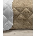 thumbnail image 3 of Vintage Down Alternative Comforter, Abstract Pattern of Old Fashioned Exotic Flowers Retro Revival Blossoms, Microfiber Quilt for All Season, 5 Sizes, Seafoam Brown Green, by Ambesonne, 3 of 3