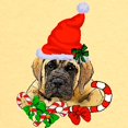 thumbnail image 3 of CafePress - English Mastiff Christmas T Shirt - Cute Toddler T-Shirt, 100% Cotton, 3 of 4