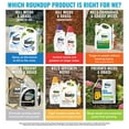 thumbnail image 3 of 7004793 Roundup Weed and Grass Killer Concentrate 0.5 gal, 3 of 4