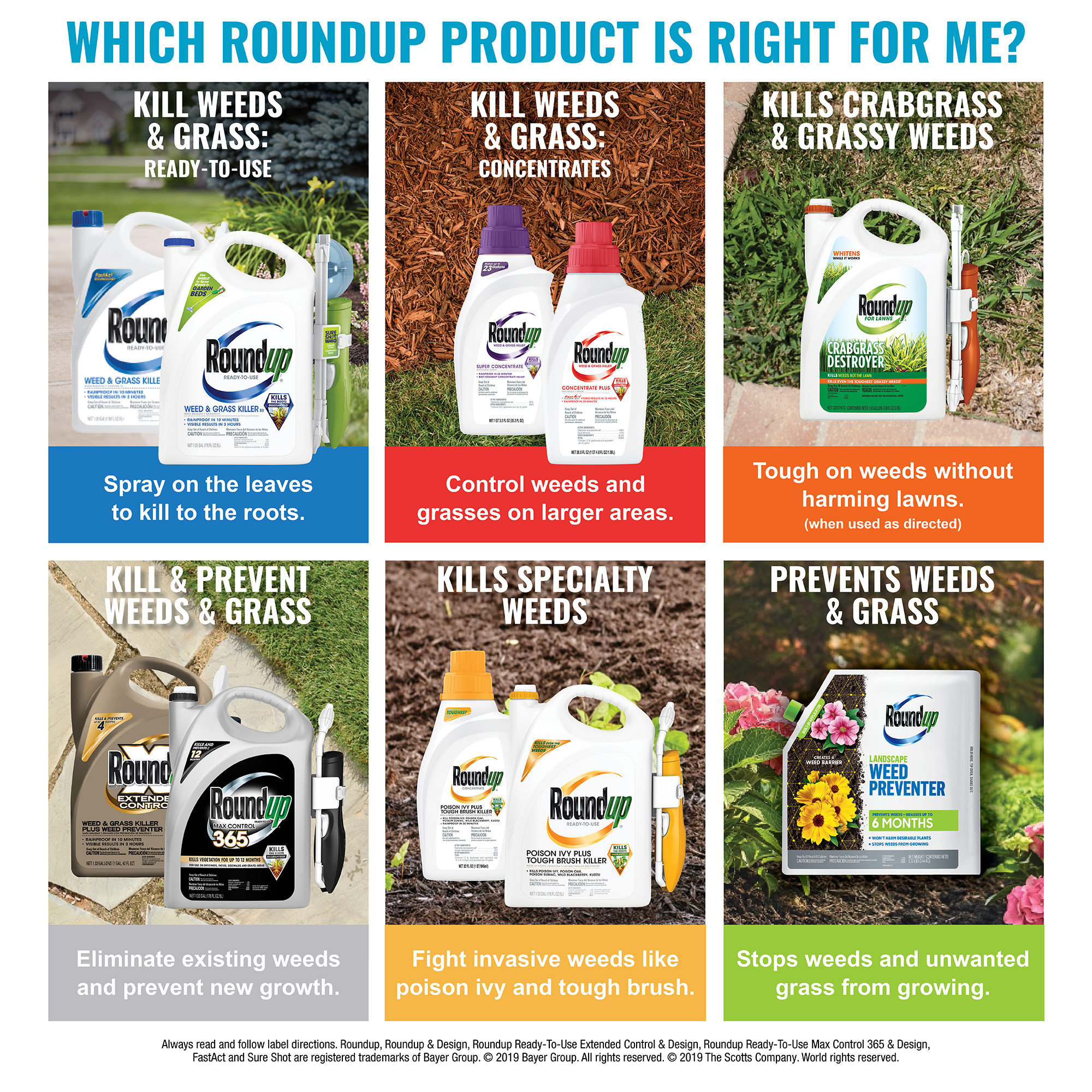 Roundup Weed and Grass Killer Concentrate 0.5 gal - image 3 of 4