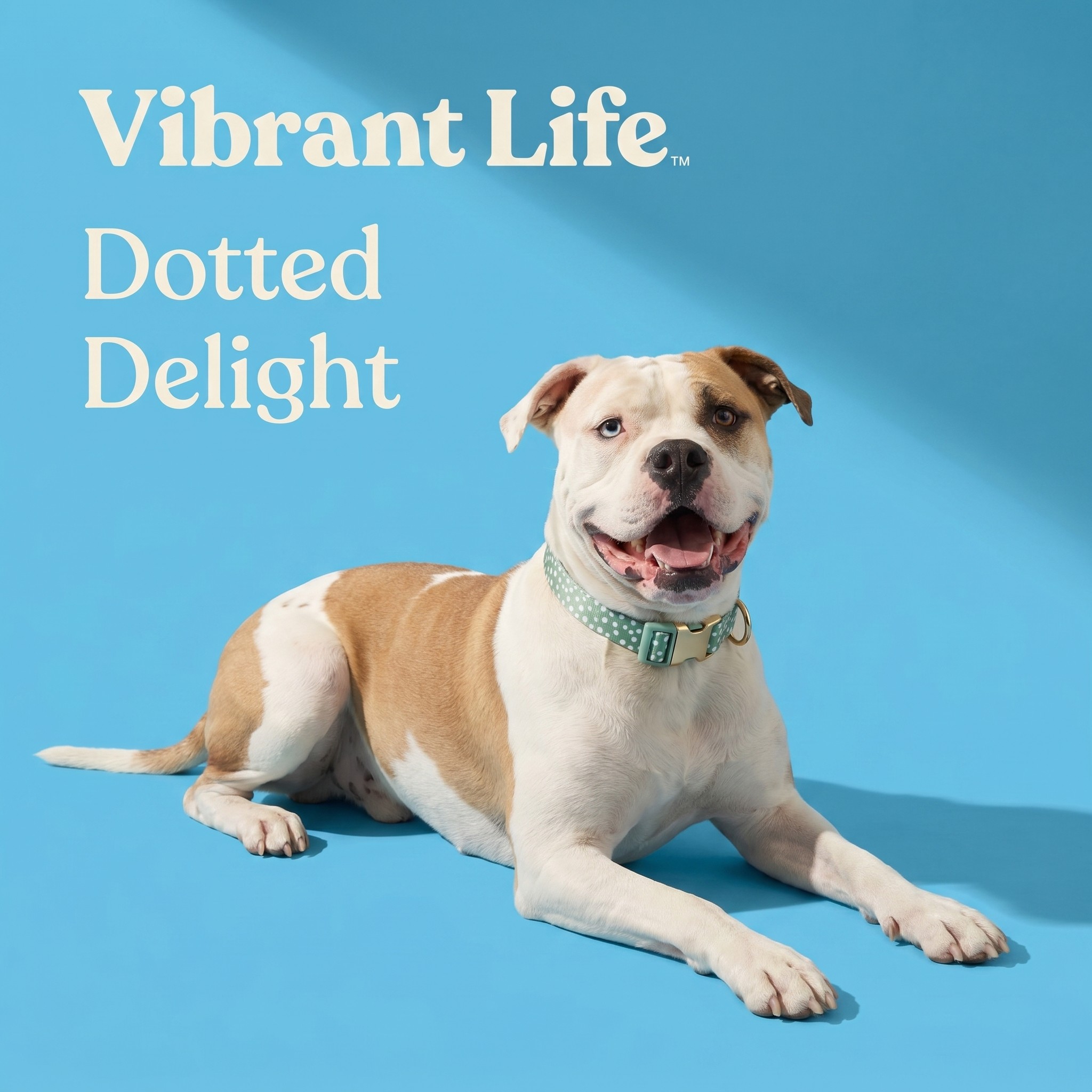 Vibrant Life Adjustable Green Polka Dot Dog Collar, Size M photo 4