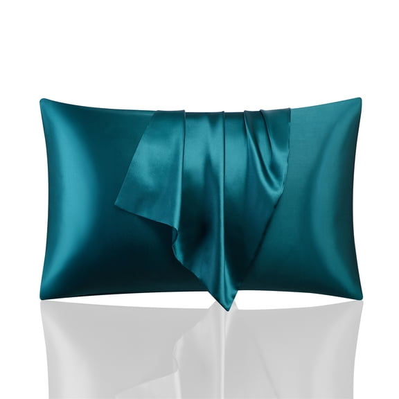 Satin Pillowcase Set of 2, Silky Soft Pillow Covers for Hair and Skin, Queen/Standard